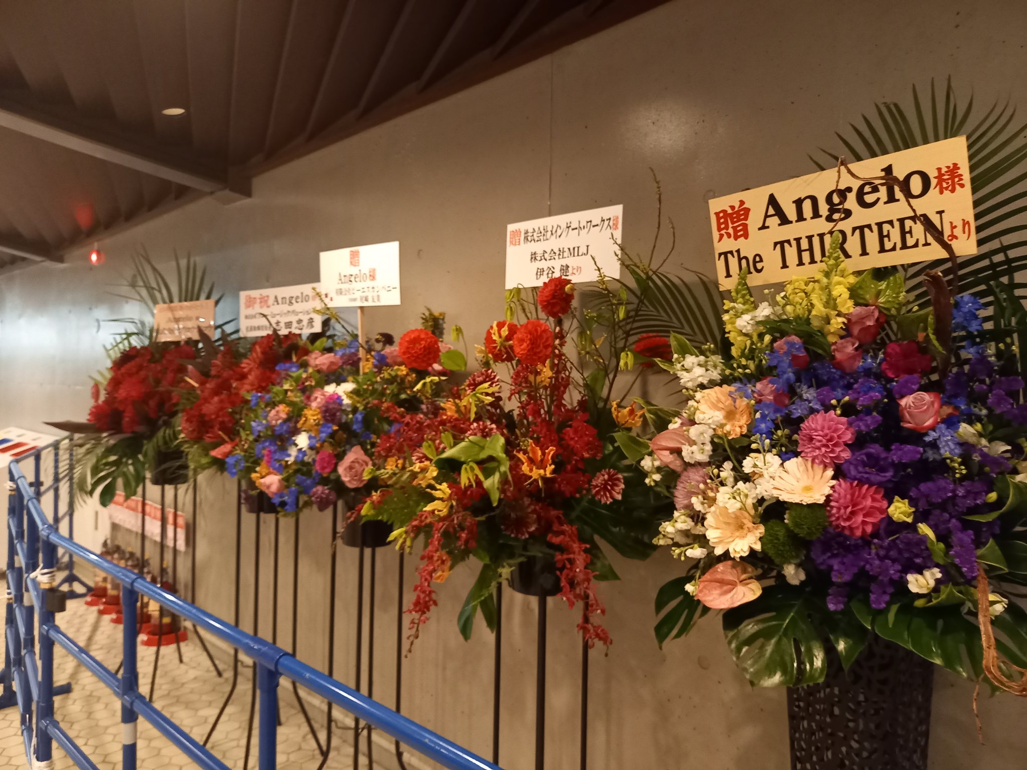 累計販売2万枚突破！ Angelo様専用です‼️Angelo様専用です‼️ 2019年