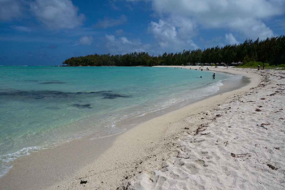 [A RELIRE] Le Saviez-vous ? L'Ile Maurice réouvre ses frontières aux touristes !

A cette occasion, je vous propose quelques photos ensoleillées. 

Pour en savoir plus voici mon guide sur le nord de l'Ile : voyagerenphotos.com/2019/11/que-fa…

#MauritiusNow #MauritiusNowInfluencers #ad
