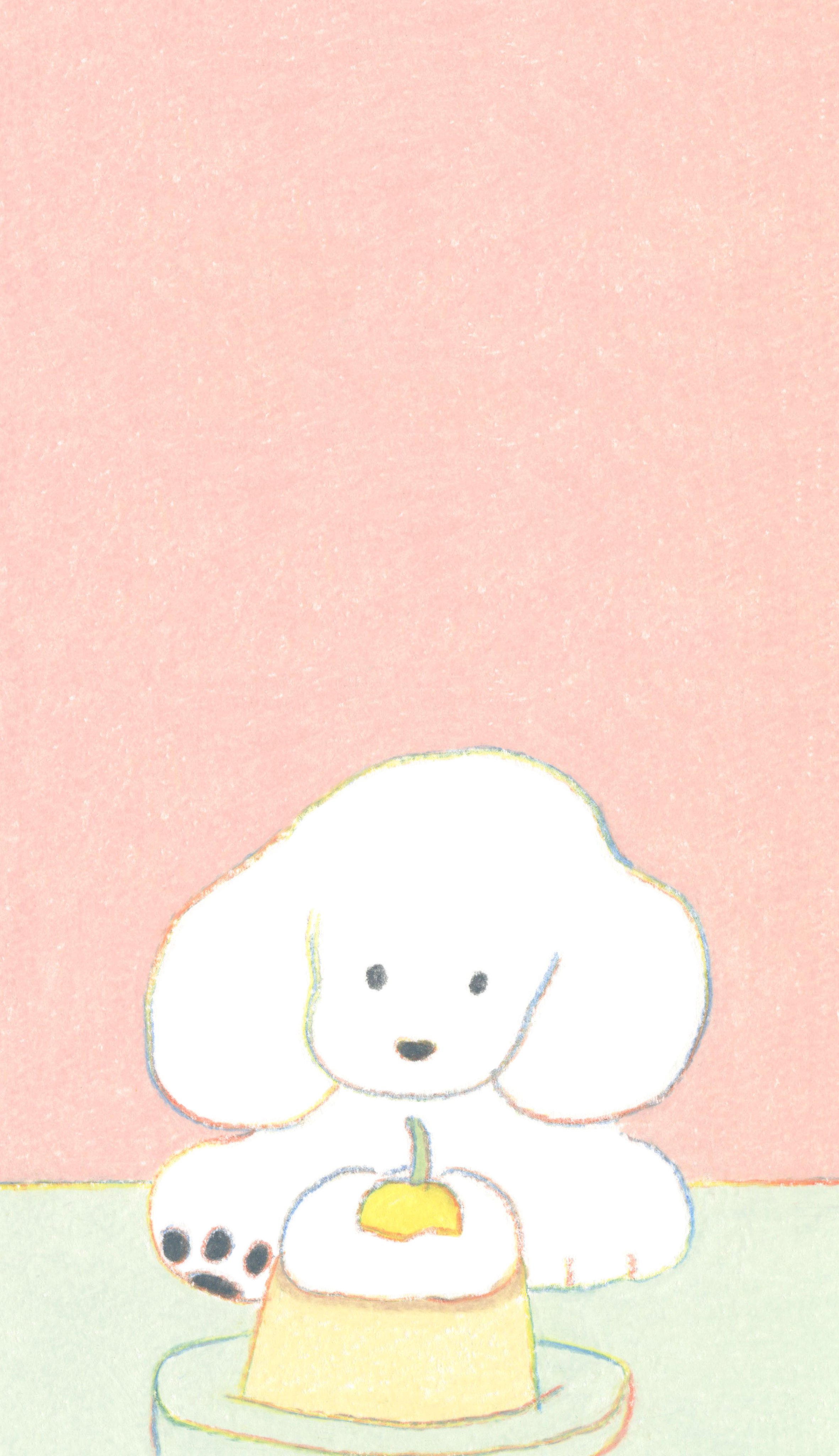 てらおか なつみ Teraoka Natsumi Twitter