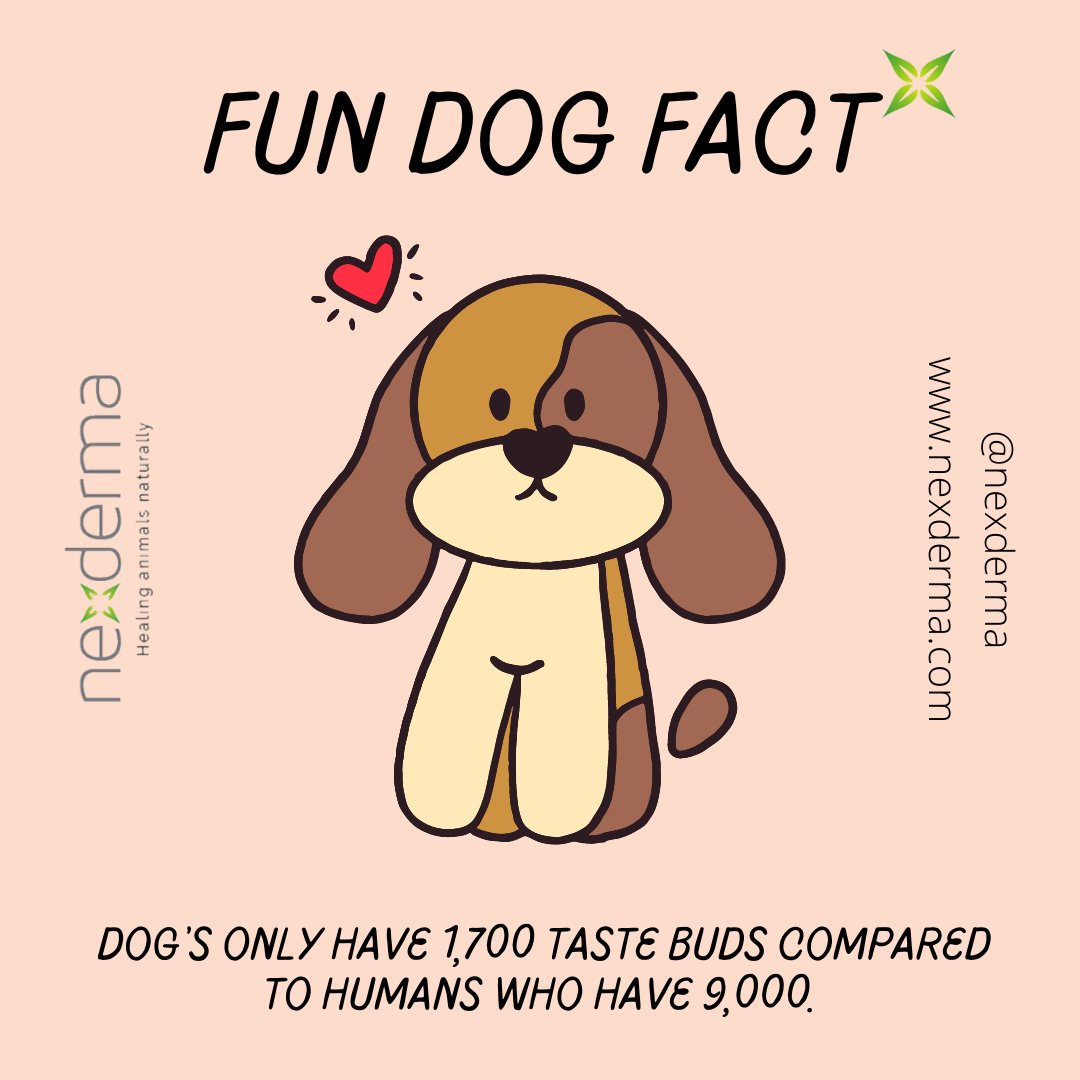nexdermavet's tweet photo. 🤔🐾

⁠#nexderma https://t.co/xrkj2oHmvM