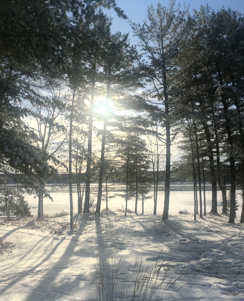 ptbogreenup's tweet photo. We hope you're warm & cozy 🥶
When it is warm enough to go out, go with the intention to find awe in nature. Studies show that intentional #AweWalks give more health benefits.
Enjoy, protect, and restore this lovely corner of the world we live in 💚 https://t.co/MRhFRYgPIy