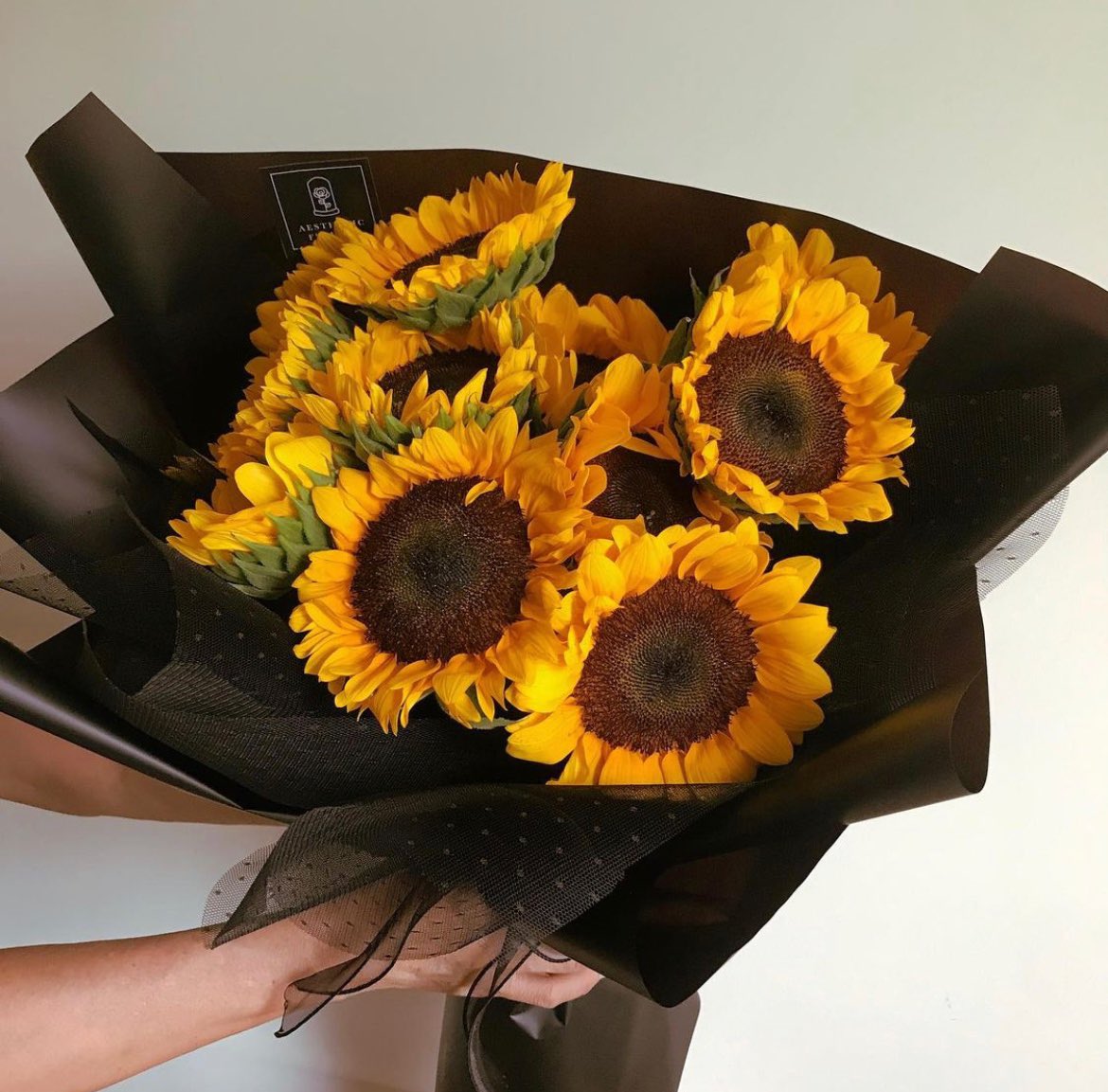 thought_flower's tweet photo. So beautiful 😍 https://t.co/5yVkM9vI4F