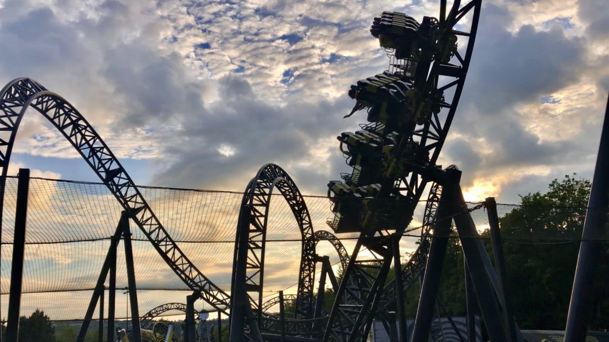 Hatty🎢 tweet media