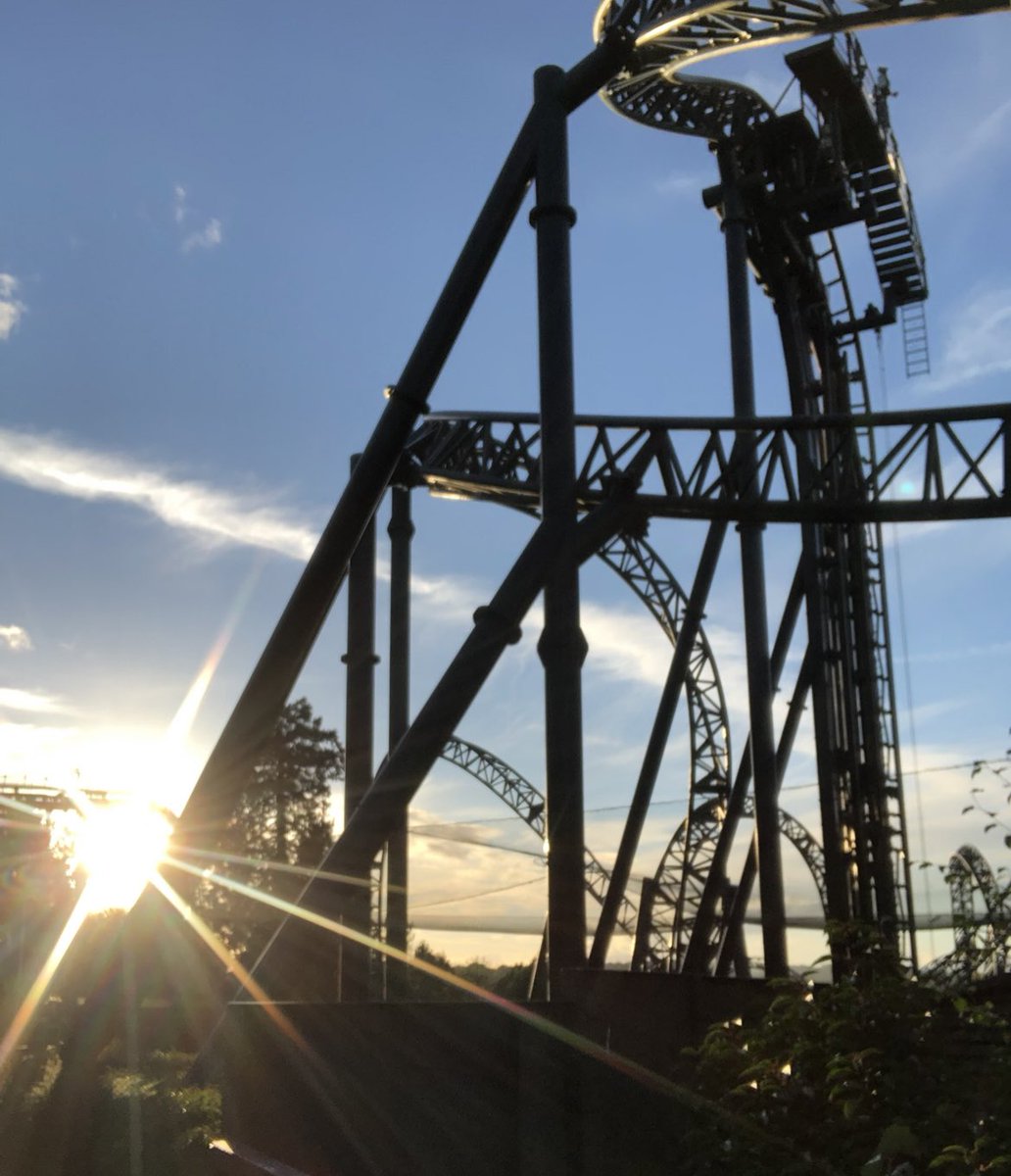 Hatty🎢 tweet media