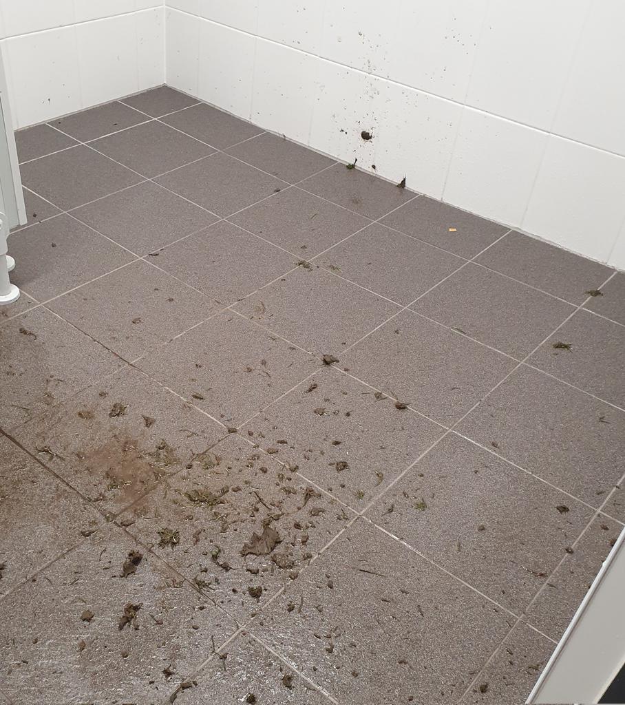 Catchfyer's tweet photo. Happy to help our friends @Rimyfc u18 with use of our facilities but not happy with the state their opposition @Colne_FC u18 left the changing room.
#poorstandards https://t.co/WL7bqOrmAs