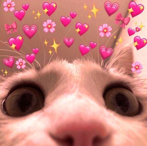 HappinessToffee's tweet photo. @anxietylu1 Уву!!💖 https://t.co/pojzbqvTXn