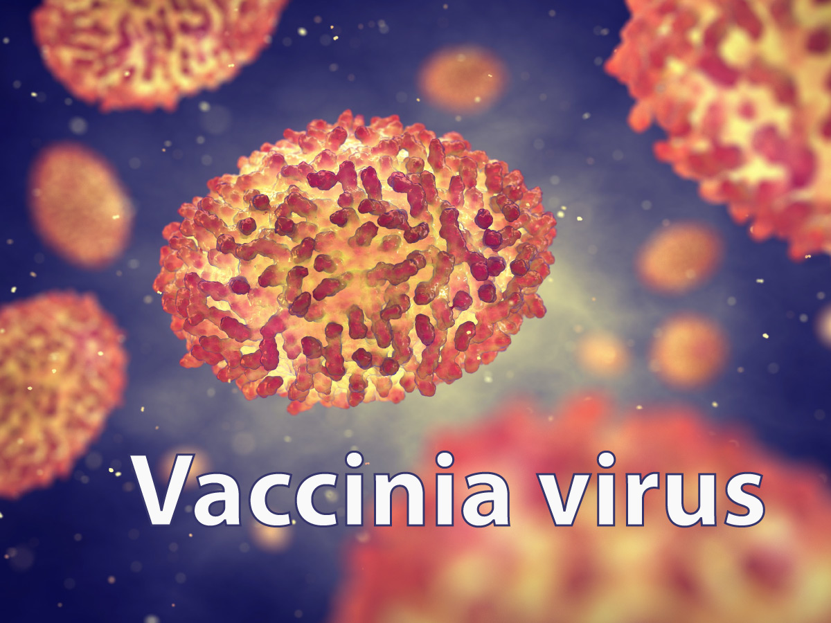 After helping us eradicate its nasty cousin Smallpox, Vaccinia virus still helps us in our fight against infectious agents..
#vaccinia #antivirals #ISO21702
virologyresearchservices.com/2022/01/14/the…