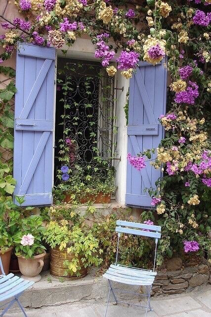 🌿🌼🧺 tweet media
