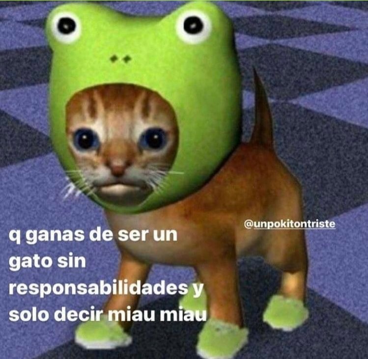 skereunpesado's tweet photo. https://t.co/ZPFBrLHC2E