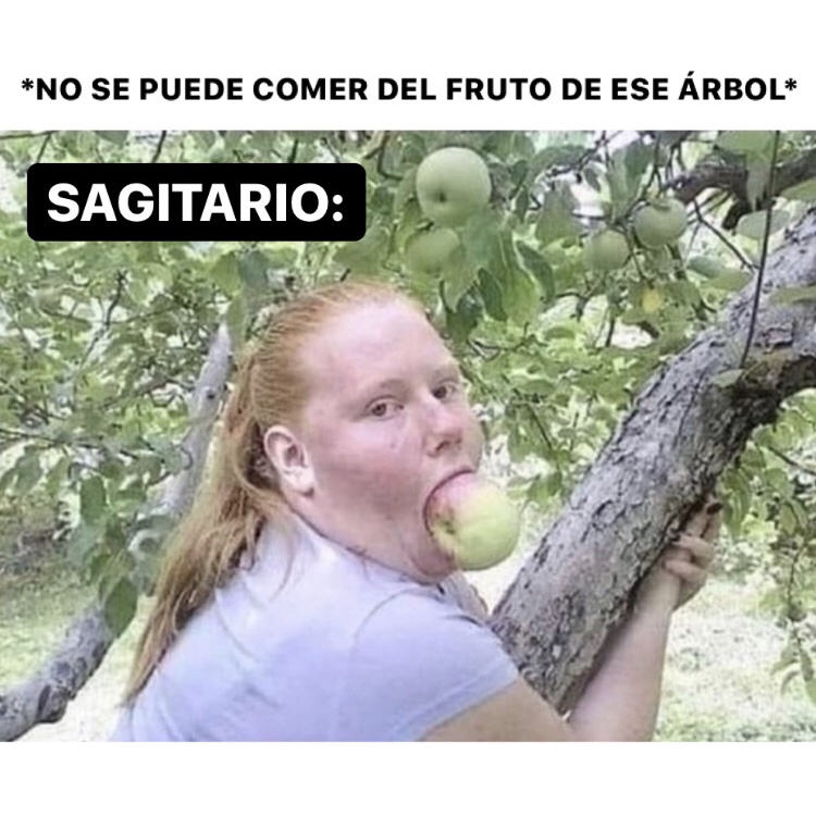sagitario_hn's tweet photo. 🤣🤣🤣 #sagitario #horoscoponegro https://t.co/jQ1XgQQLdL