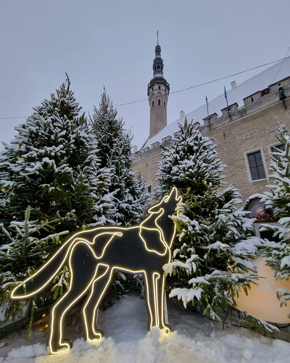 LIVEst_ee's tweet photo. Winter forest in the heart ❤️ of old Town #Tallinn #Estonia #Eesti #Эстония #Таллинн #VanaTallinn #Raekojaplats https://t.co/rtyvZvyDJT