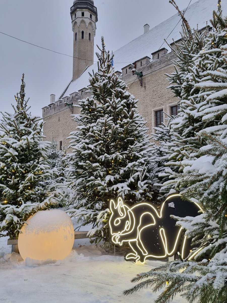 LIVEst_ee's tweet photo. Winter forest in the heart ❤️ of old Town #Tallinn #Estonia #Eesti #Эстония #Таллинн #VanaTallinn #Raekojaplats https://t.co/rtyvZvyDJT