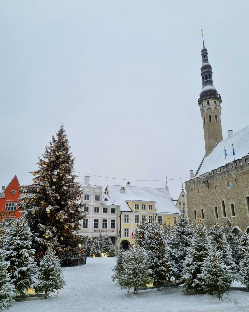 LIVEst_ee's tweet photo. Winter forest in the heart ❤️ of old Town #Tallinn #Estonia #Eesti #Эстония #Таллинн #VanaTallinn #Raekojaplats https://t.co/rtyvZvyDJT
