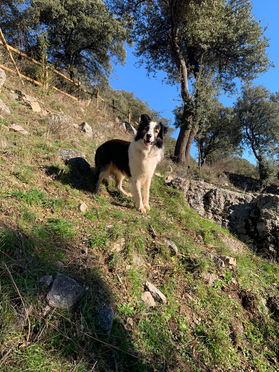 🐾🐾