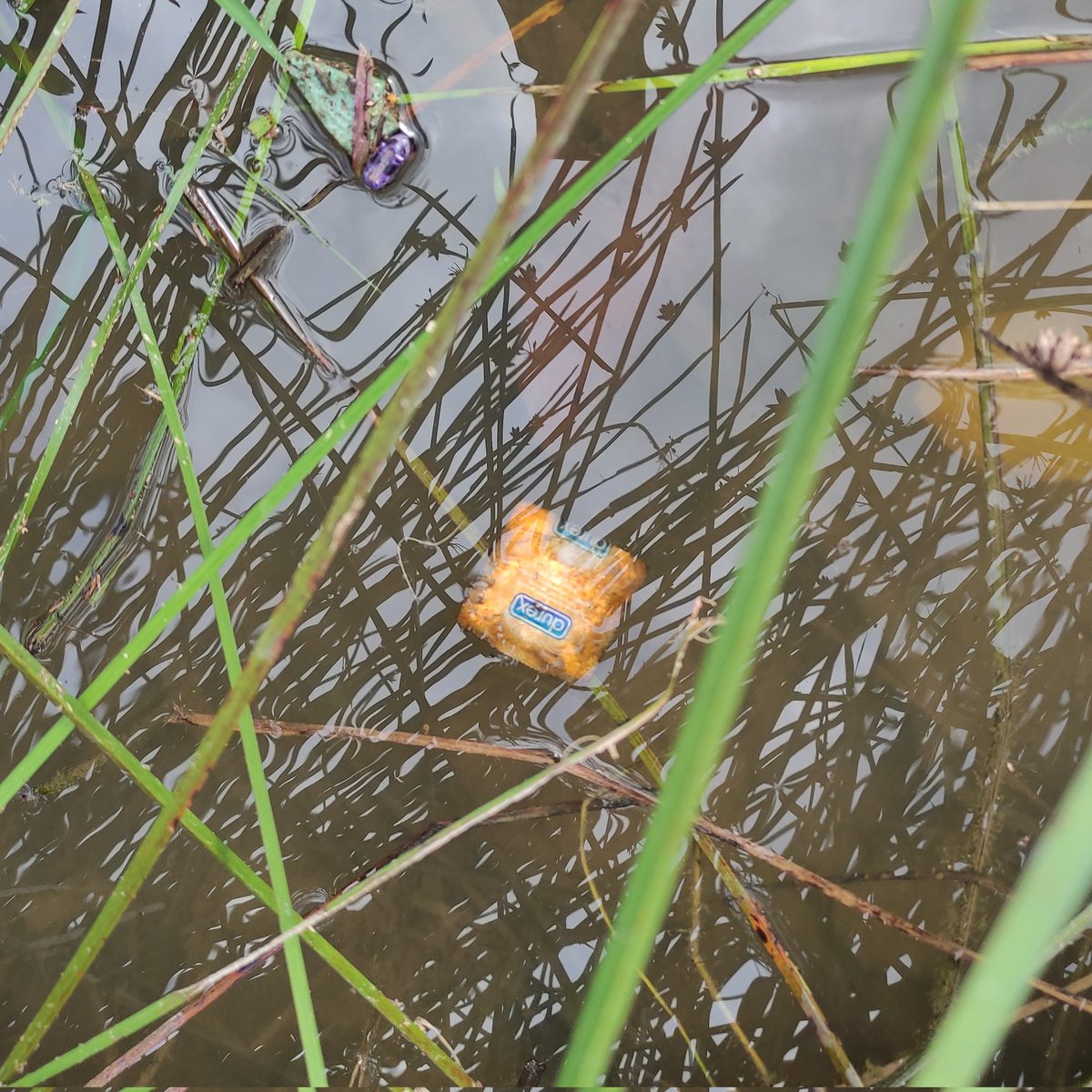 MySekitar's tweet photo. Our water bodies need protection, but not this kinda of protection lah 😅 
@DurexMY @KASA_Malaysia
@DID_Malaysia 
#protect #trash #cleanup #water https://t.co/4zhtFaQZGO
