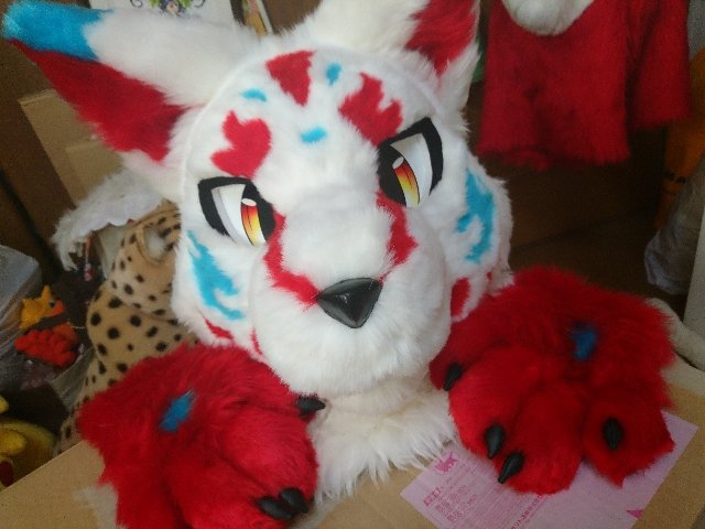 犬神 着ぐるみ 居るんだけどイベント出たことない 着ぐるみイベントの様子も全くわからない そもそもあんな大荷物 皆どうやって遠方にもっていってるの 笑 馴染みのコスイべと違ってパフォーマンスタイムとかあるみたいだけど 何かするのがデフォ