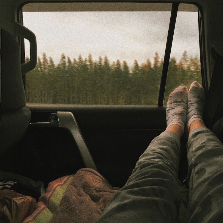 paustovskaya5 tweet picture
