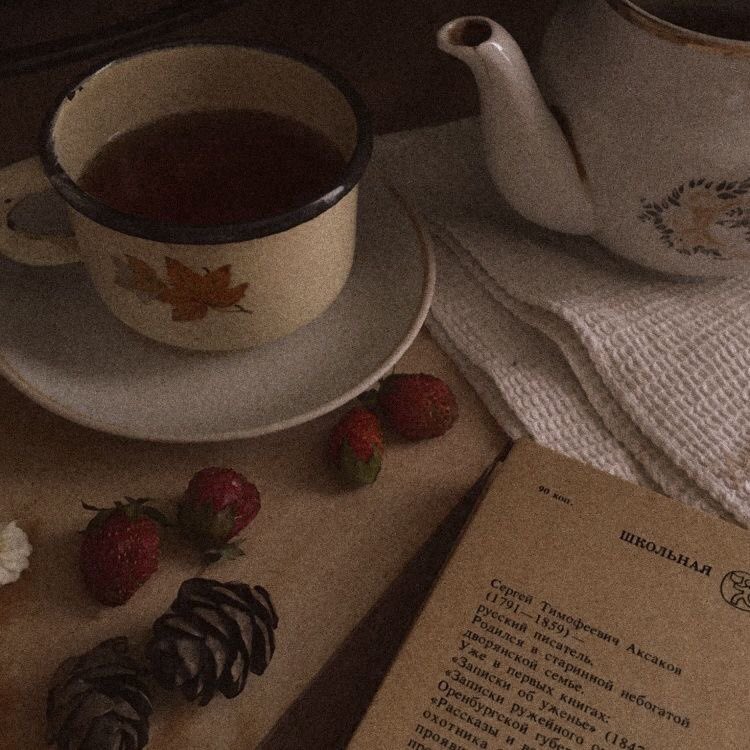 paustovskaya5 tweet picture