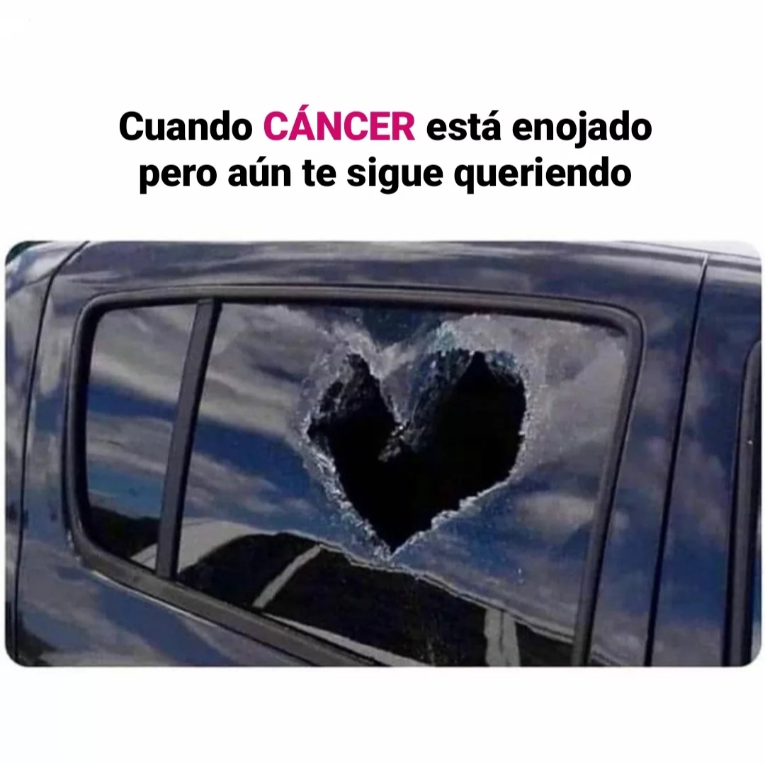 🤣🤣🤣🤣🤣
