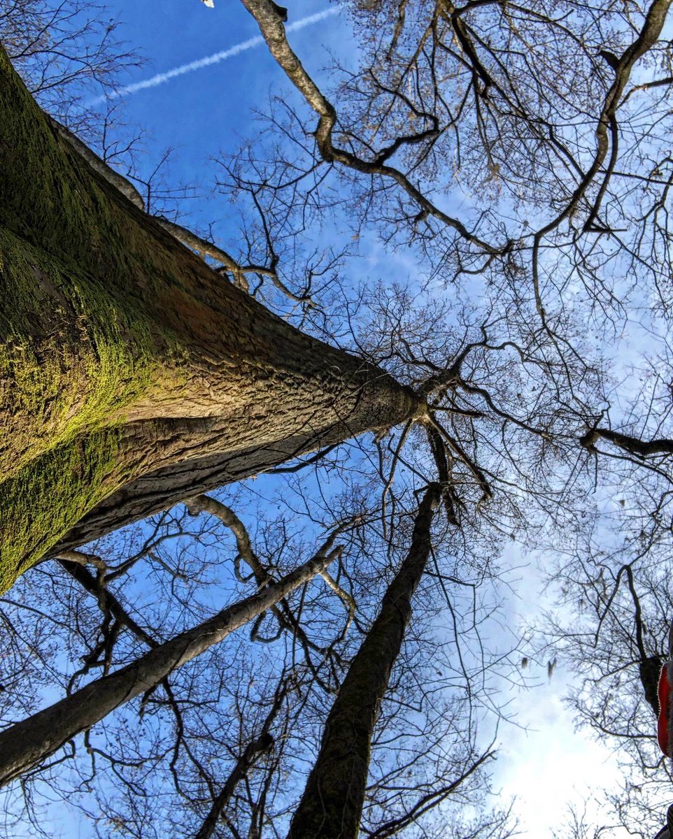 Happy and loving people live in a happy and living world, unhappy and mean spirited people live in a mean spirited world… both live in the same world. 🤔 #perspective #attitude