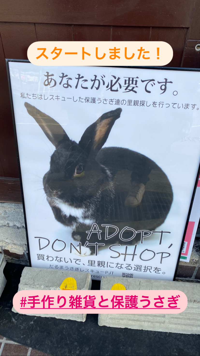 まルく ウサギデザイン 手作り雑貨と保護うさぎ 無事終了いたしました 保護うさぎ達にずっとのおうちが見つかりますように 保護うさぎの存在を知っていただけますように 私は私でできることを 保護うさぎ ウサギデザイン T Co