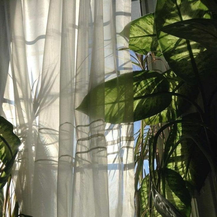 𝑂𝑟𝑎𝑐𝑙𝑒 𝑜𝑓 𝐷𝑒𝑙𝑓𝑜𝑠 (@isartmysoul) on Twitter photo 