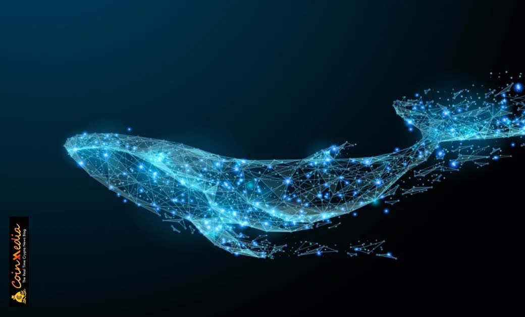 Whale Alert! Here Are Top Altcoins Whales are Investing Right Now !

Read More:
coinxmedia.com/home/news_sepr…