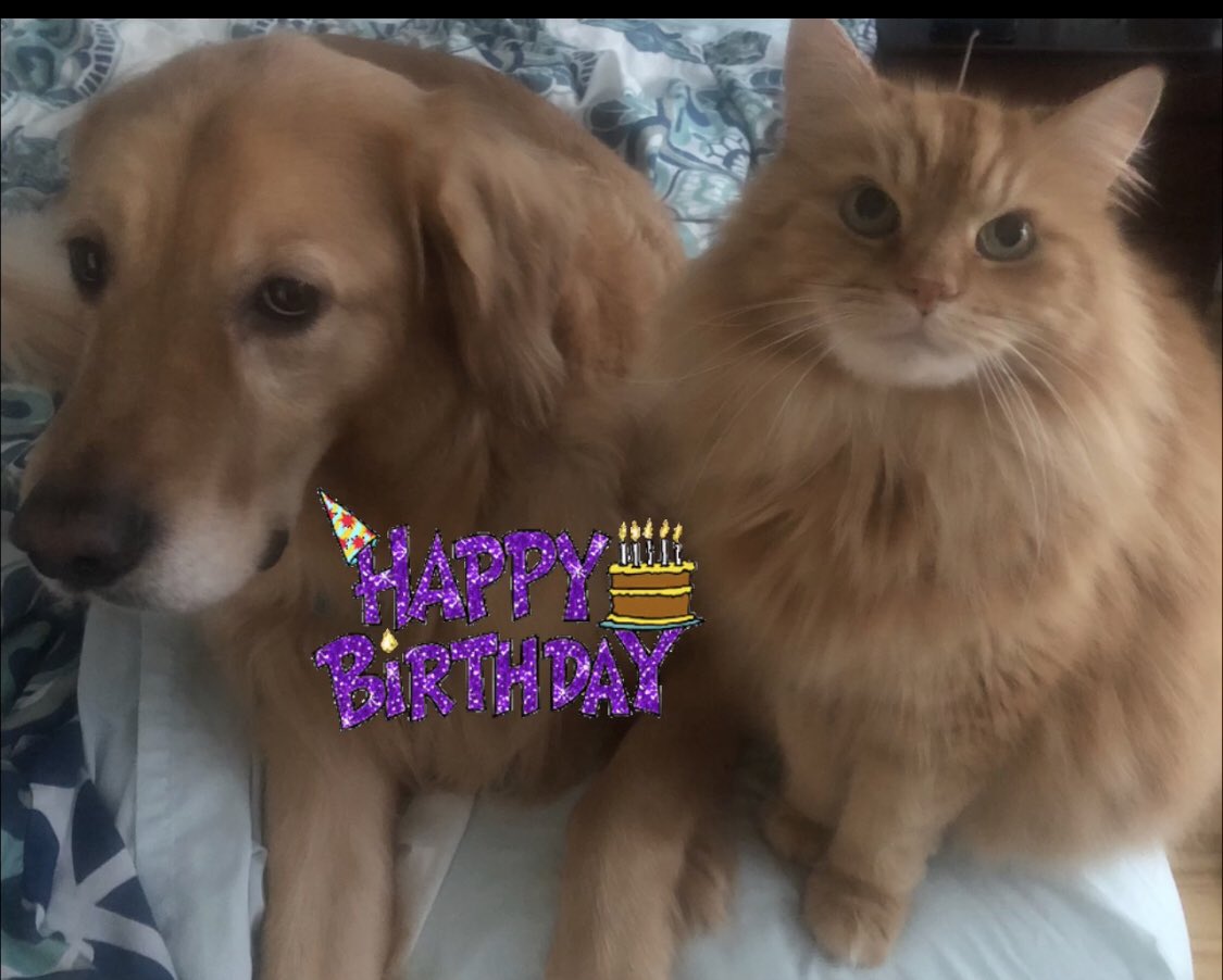 Jennifer Penton tweet media