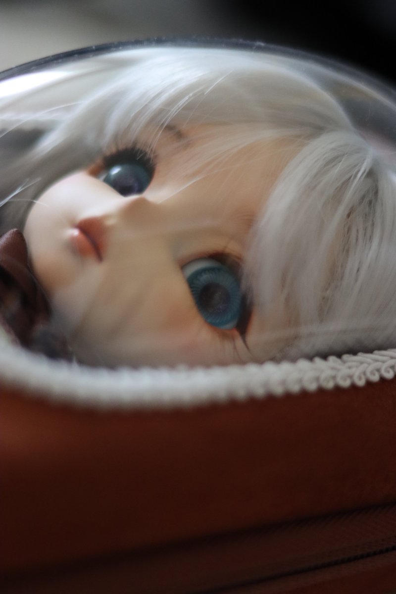 dedededexuan tweet media