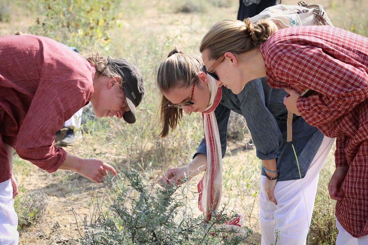 afforestt's tweet photo. Announcing our next forest creation workshop.
March 5th to March 10th, 2022 at Ranthambore National Park.
#Afforestt #NativeWildForever #urbanforests #ecologicalrestoration #rewilding #workshop #forestcreation #ranthambore #rajasthan https://t.co/EM6z8rpy9W
