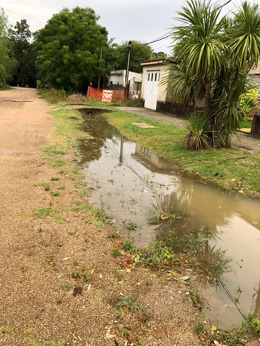 mullin26's tweet photo. Gracias al trabajo de OSE, que taparon la cuneta con tierra, el agua quedó estancada.. siempre tan eficientes!! https://t.co/tWPMQkMyPY