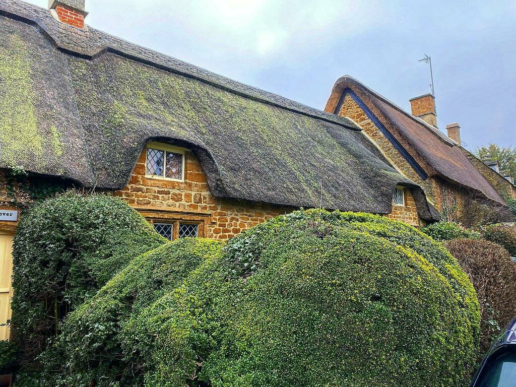 😍#thatchedcottage #thatchedroof 
@jongarysteele instagr.am/p/CYys_GssLvu/