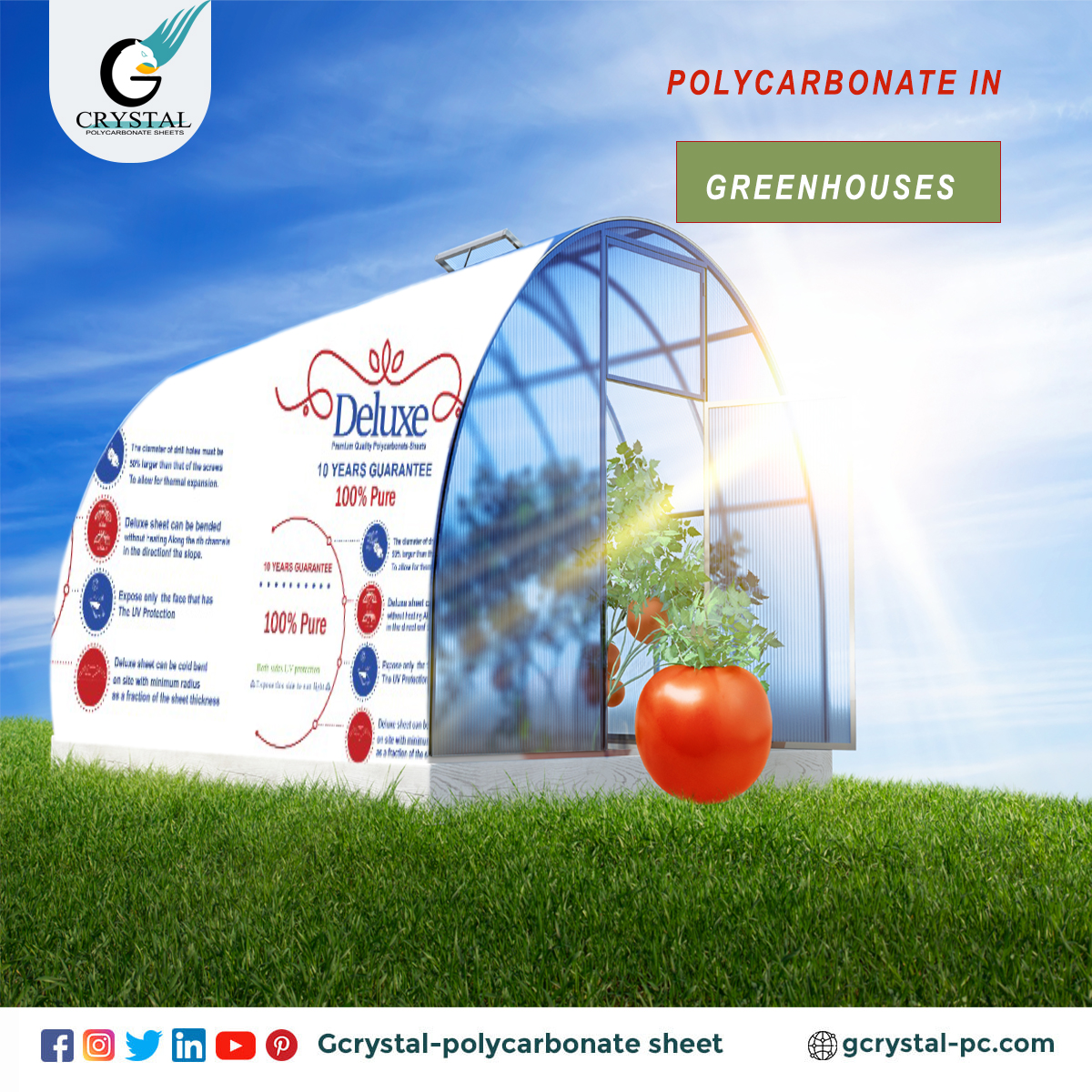 G CRYSTAL PLASTIC INDUSTRIES tweet media