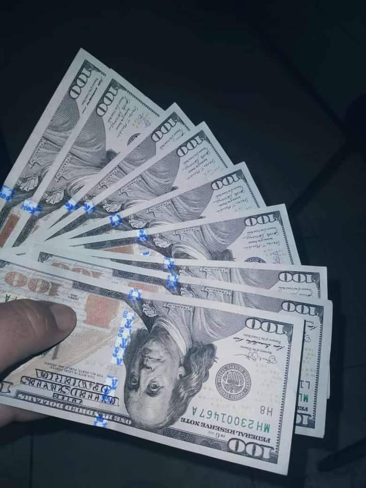 LiderKenny's tweet photo. #Hipismo Donde andará la gente q quiere dos regalos abiertos para hoy Domingo en #LaRinconada 

Si metemos 50 RT coloco el tumba cuadros y la Línea para el 5y6 nacional e internacional y de pasapalo un ejemplar para dar pago y decir jugaron su 🐀 Let'S Go.

🚨💲🐎(Dale RT)🐎💲🚨 https://t.co/dYuC1xe6Di