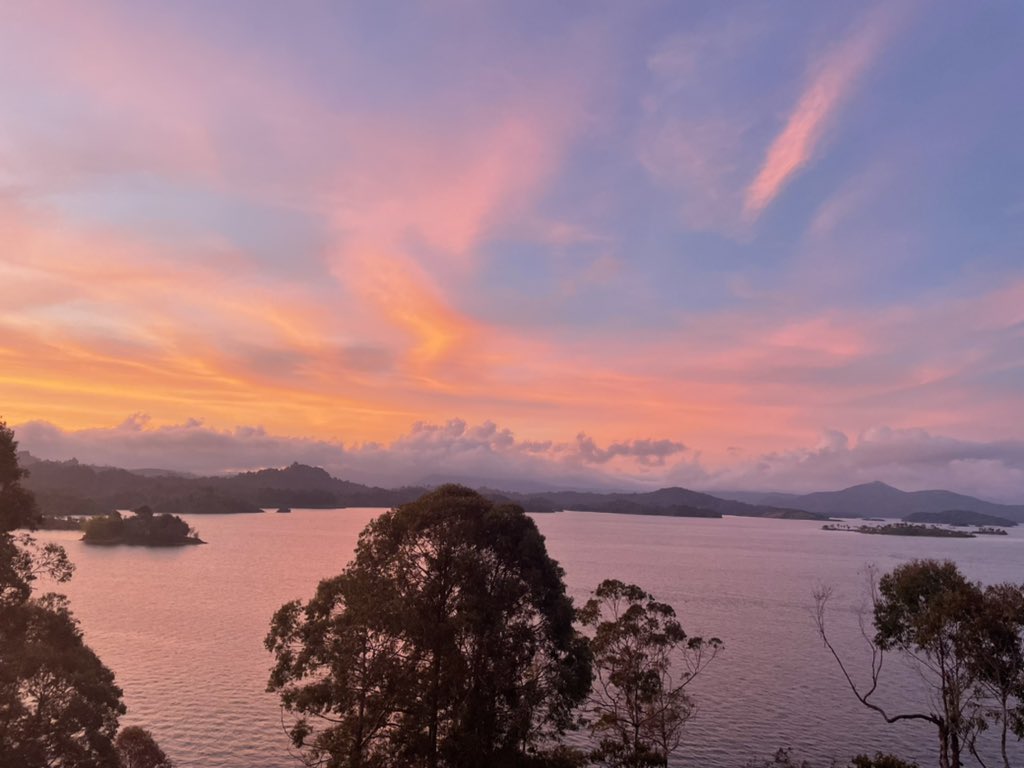 Jagsetter tweet media