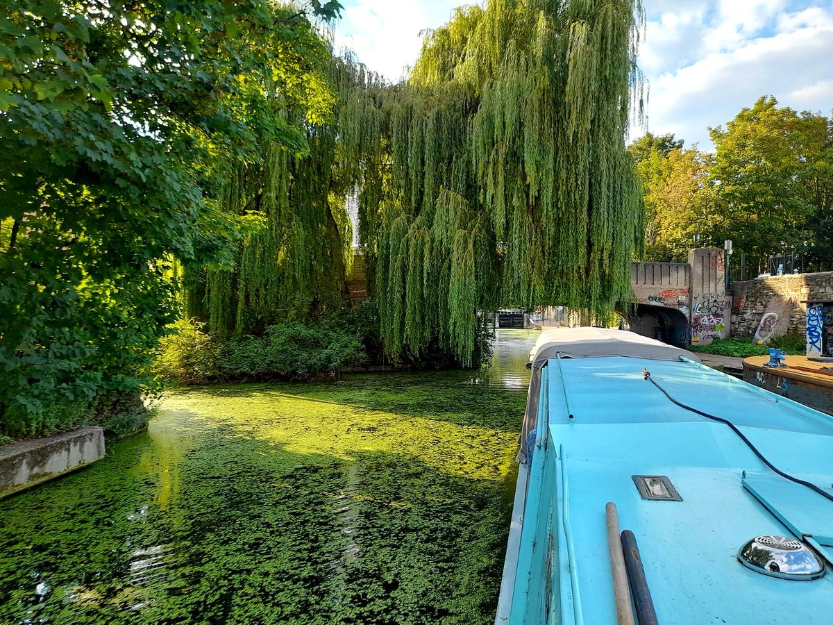 Book now for trips across London's historic canals - spring is just around the corner! BYO drinks, food &amp; tunes! 07535 212 512