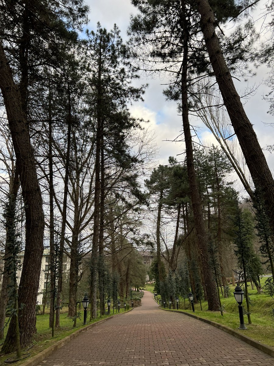 Sinemozlr's tweet photo. #pazar https://t.co/bi2zNzFWAz