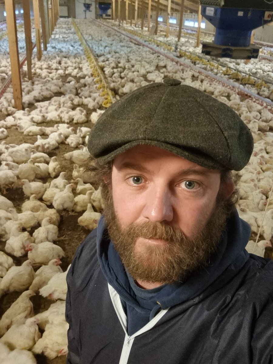 The Meat House 🇿🇼 (themeathouse_zw) Twitter