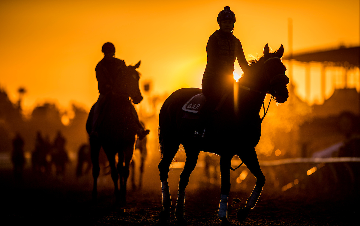 “Wherever you go, no matter what the weather, always bring your own sunshine.” 

 📸: <a href="/EclipseSports/">Eclipse Sportswire</a> 
#SundayVibes #SundayMood