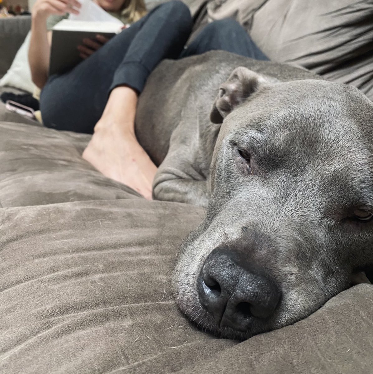 Zach Homol tweet media