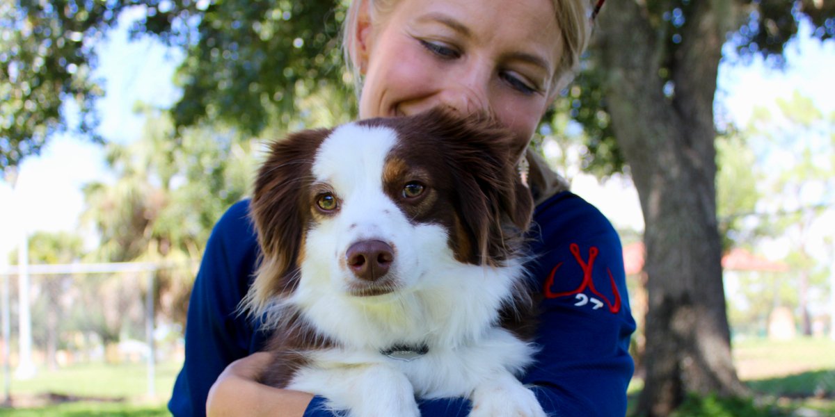 Happy birthday to my absolute favorite fur nugget on the planet... not sure how 5 years has gone by so fast, but I'm so grateful to be your dog mom. 💙🐶