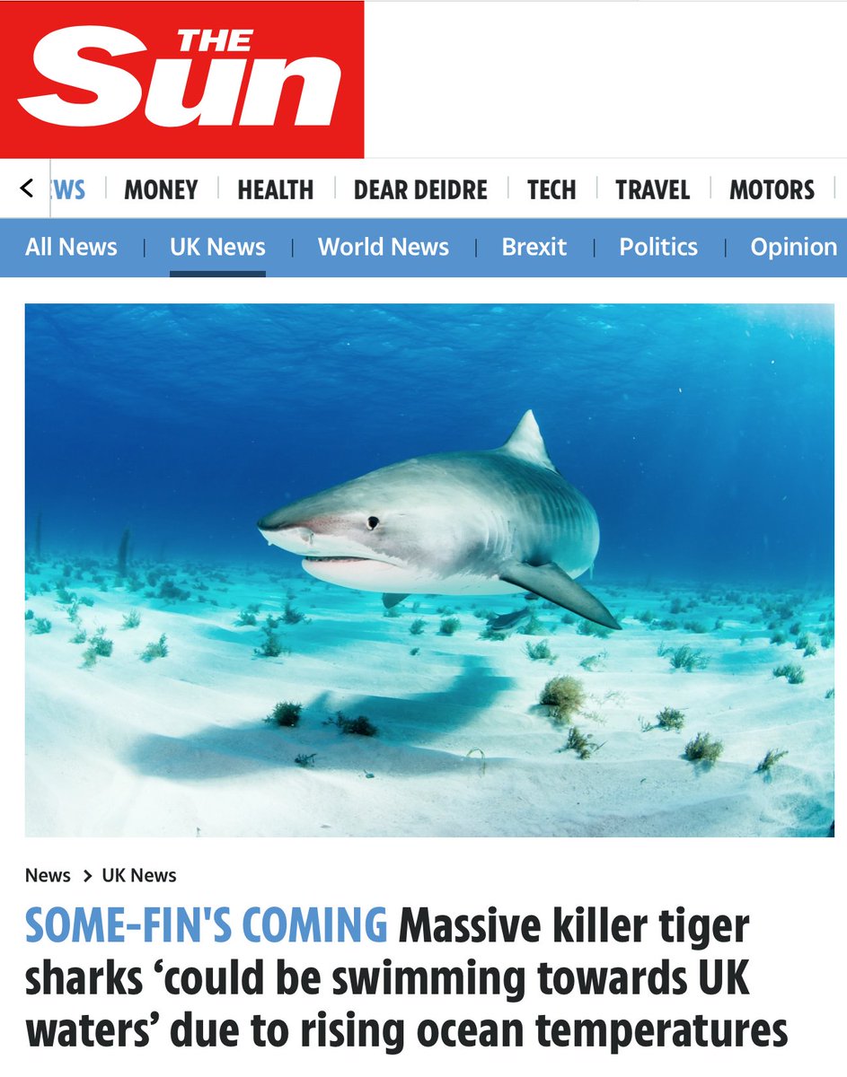 Once again scary headlines fail to hit the real concerns related to our oceans and what is happening with global warming; sharks are not a threat to humans; we are to them. 
In cooperation with @bite_back #mindyourlanguage campaign.
#knowledgeispower #educationisthekey