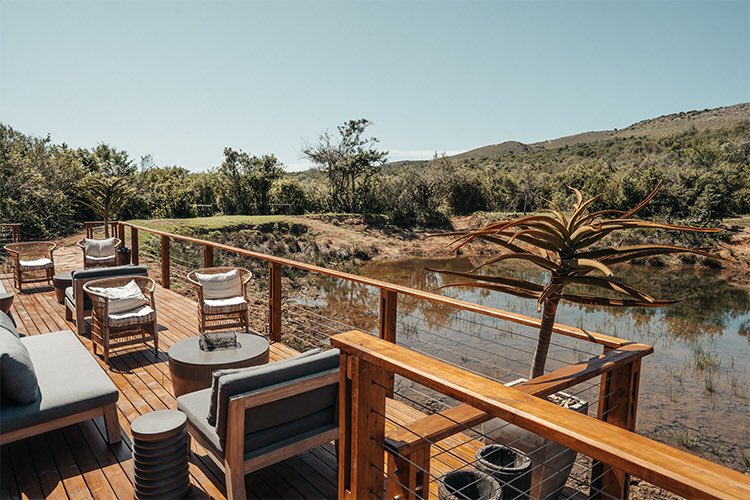 Eves_in_Eden's tweet photo. 📍Addo, Eastern Cape
Boutique Safari camp
Scenic, Wildlife &amp; bush

Standard Package:
2 Nights stay
From R4 500.00 per couple, Including:
Luxury suit with amenities Private spa bath
Breakfast &amp; 3-course dinner Wi-Fi
Well stocked mini bar on request https://t.co/ZDjHGUNy2l