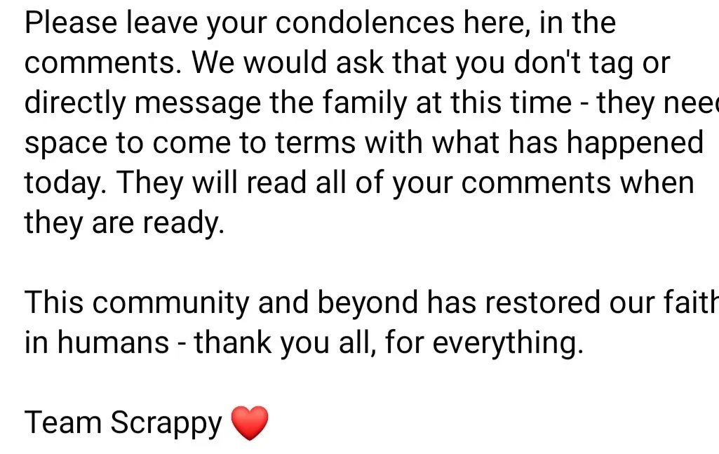 HART__SAR's tweet photo. An update from Team Scrappy. https://t.co/BNi6BMNKWg