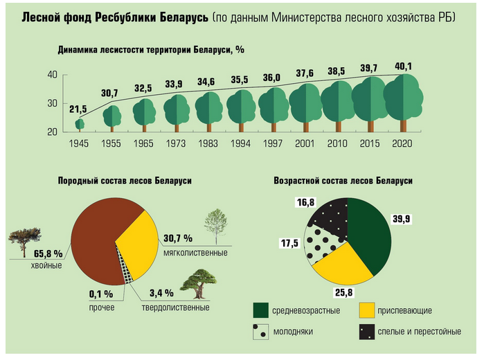 DeforDesertif's tweet photo. «Площадь лесов увеличивается не только за счет посадок, но и за счет того, что в эту категорию переходят бывшие сельскохозяйственные земли, особенно в северной части страны — в Витебской области. " 
#Help #forest #Belarusian https://t.co/yBw8ASKYji