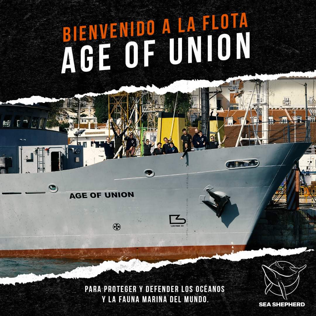 Sea Shepherd España tweet media