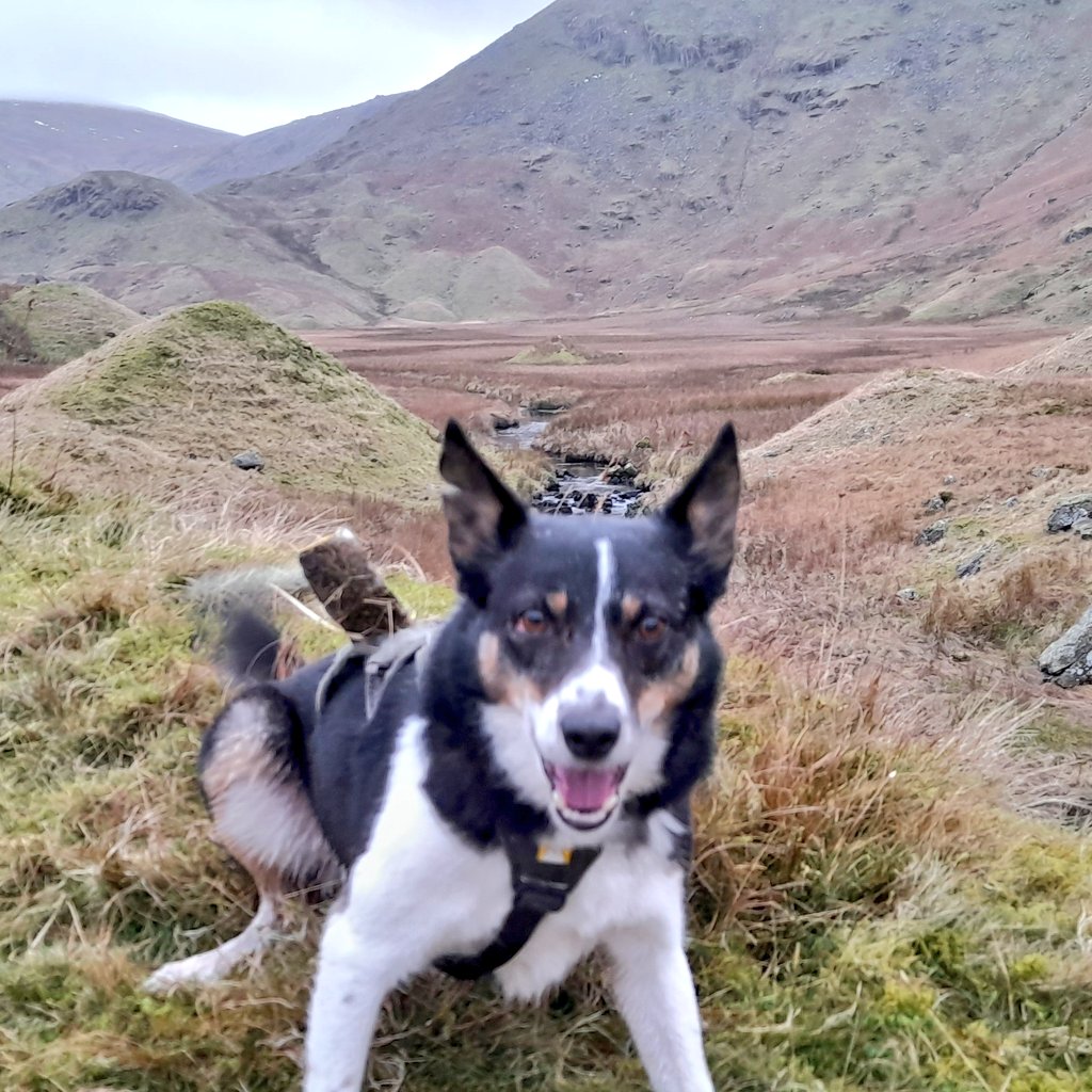 Nell & Jess tweet media