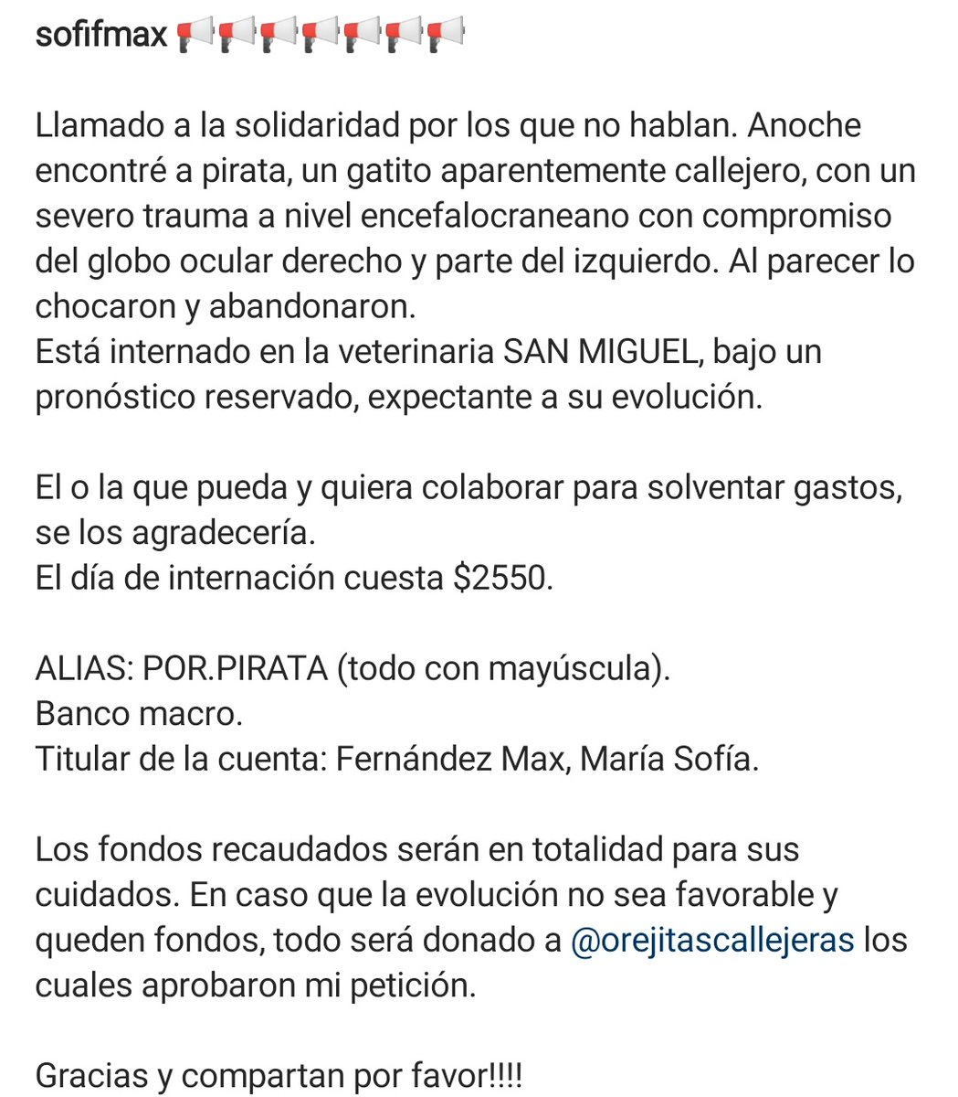 sofisimaaa's tweet photo. Todos sabemos que los animales son los seres de luz más extraordinarios del planeta. Ayudenme a ayudar a un gatito que sufrió un accidente. Su nombre es pirata. Perdón si la foto hiere la sensibilidad de alguna persona que lea este tweet. 
Desde ya , gracias ❤️ https://t.co/e1vchxm6n1