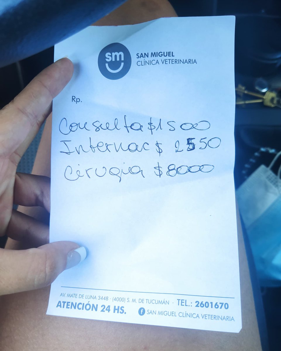 sofisimaaa's tweet photo. Todos sabemos que los animales son los seres de luz más extraordinarios del planeta. Ayudenme a ayudar a un gatito que sufrió un accidente. Su nombre es pirata. Perdón si la foto hiere la sensibilidad de alguna persona que lea este tweet. 
Desde ya , gracias ❤️ https://t.co/e1vchxm6n1