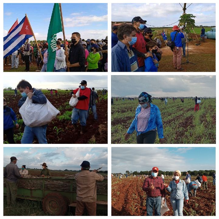 Livan Izquierdo Alonso tweet media